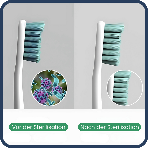 Disinfectant Toothbrush Holder